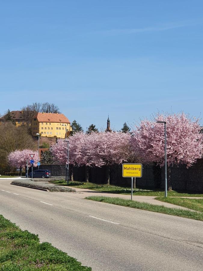Ferienwohnung Zum Schlossblick Naehe Europa Park Mahlberg Bagian luar foto