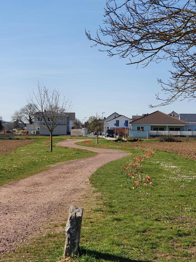 Ferienwohnung Zum Schlossblick Naehe Europa Park Mahlberg Bagian luar foto