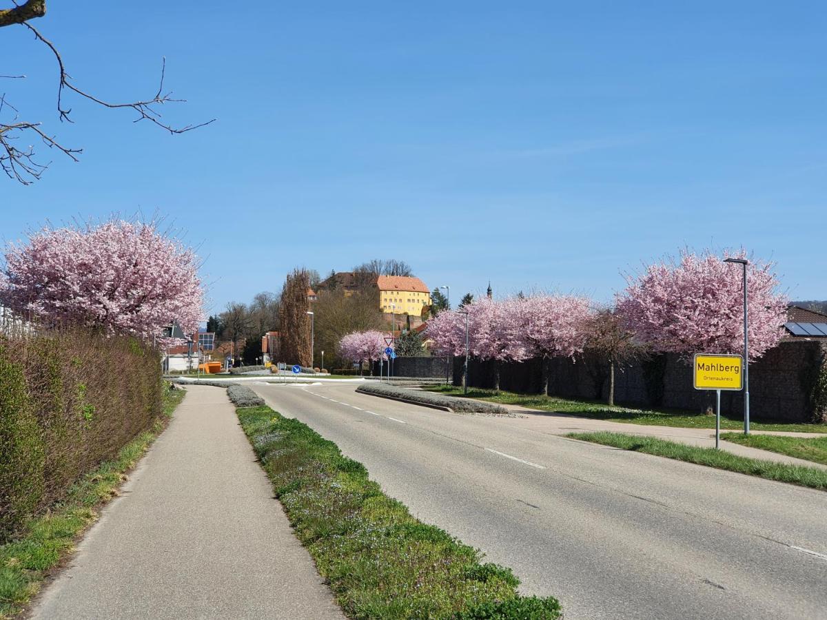Ferienwohnung Zum Schlossblick Naehe Europa Park Mahlberg Bagian luar foto
